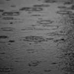 Day 1 - Spring Rain