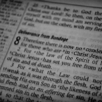 Day 11 - No Condemnation IN Christ Jesus