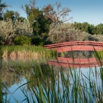 Day 31 - Riverfront Park Footbridge