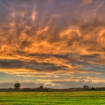 Zoo Drive Sunset