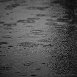 365G-001 Spring Rain