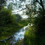 365G-029 Riverfront Park Trail Fun